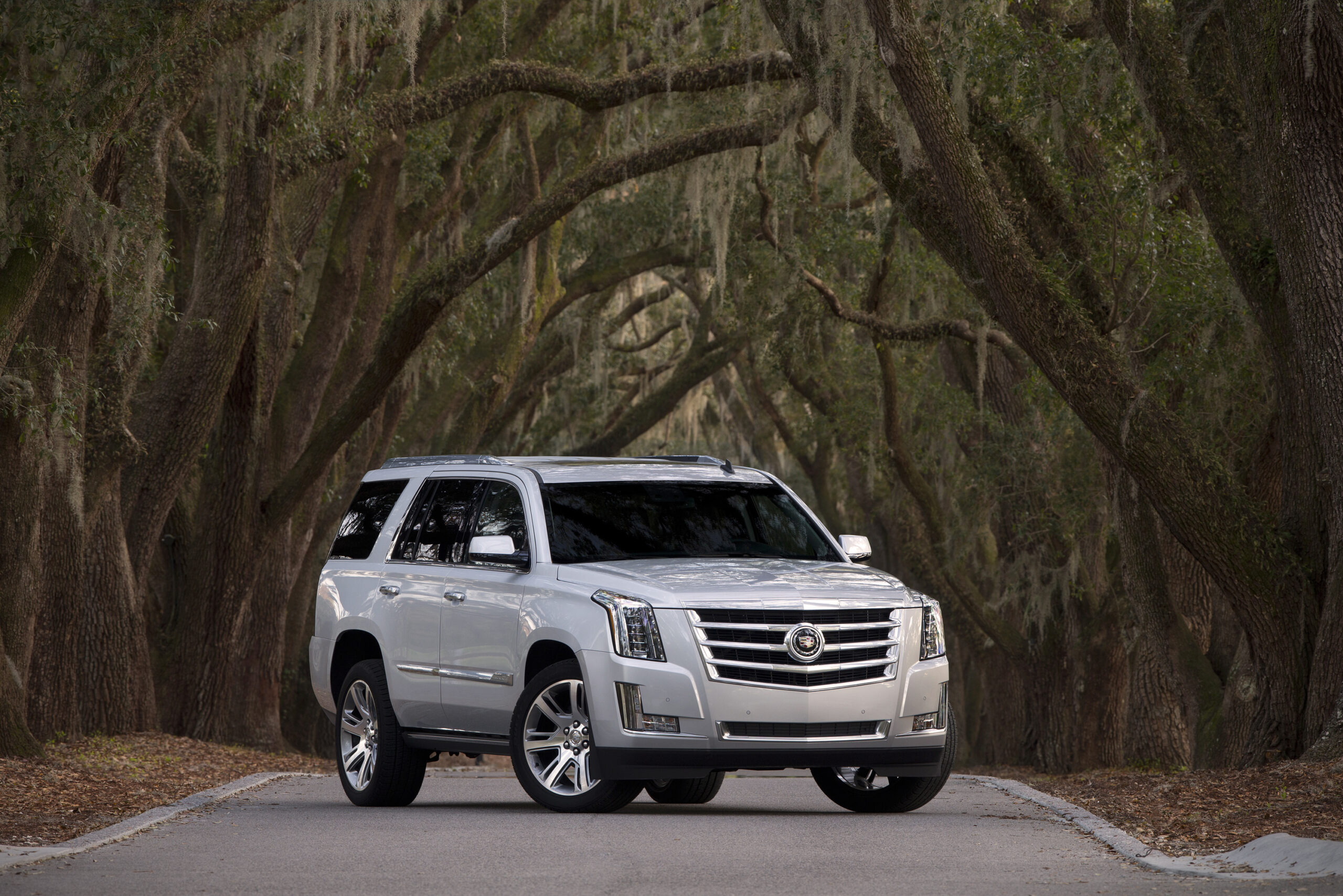 Driven: 2015 Cadillac Escalade. Thy Middle Name Is Bling.