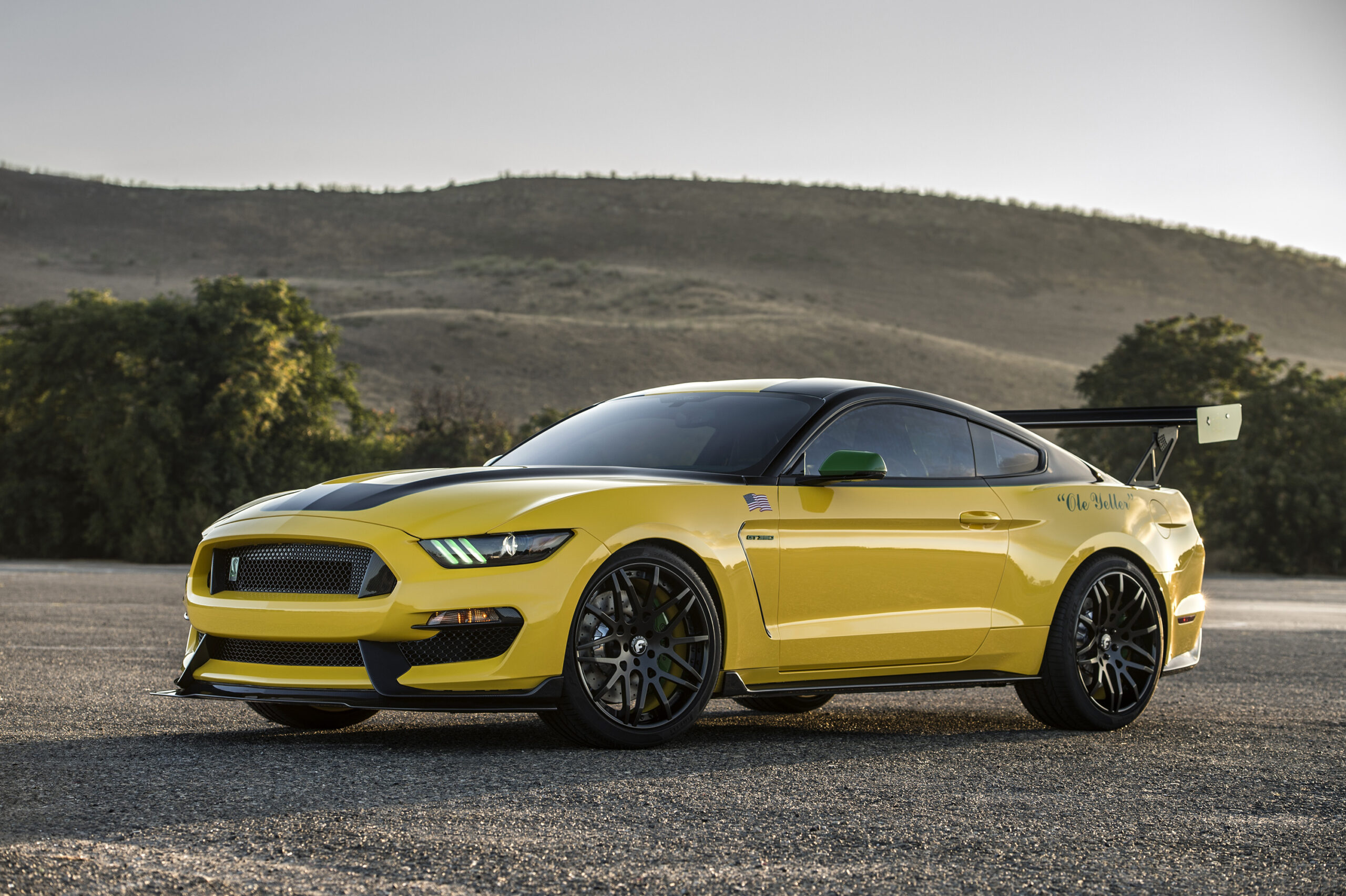 Ford and Shelby’s Ole Yeller Mustang raises $295K — we’re not shocked