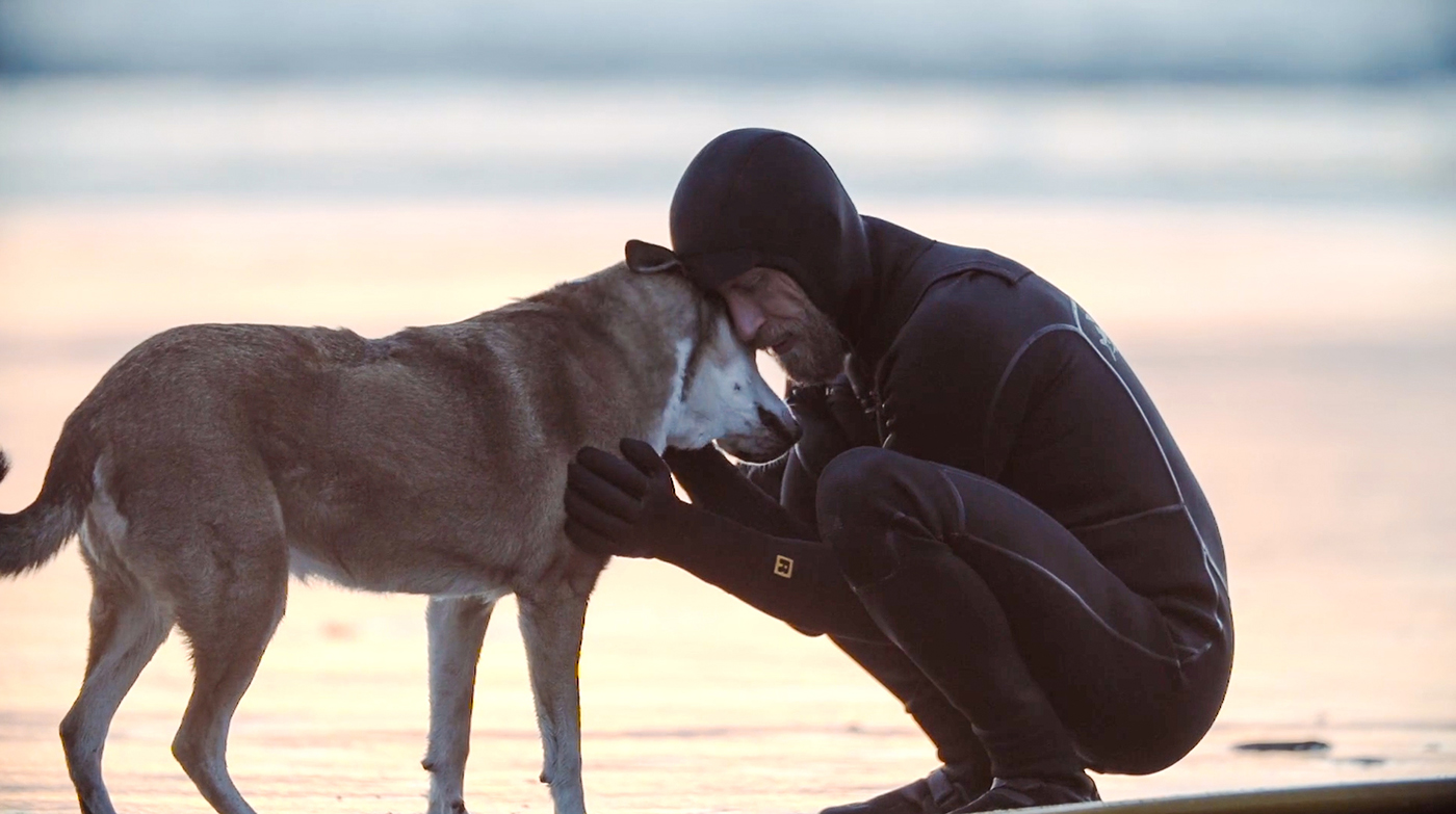 A tribute to travel, life and companionship: Denali