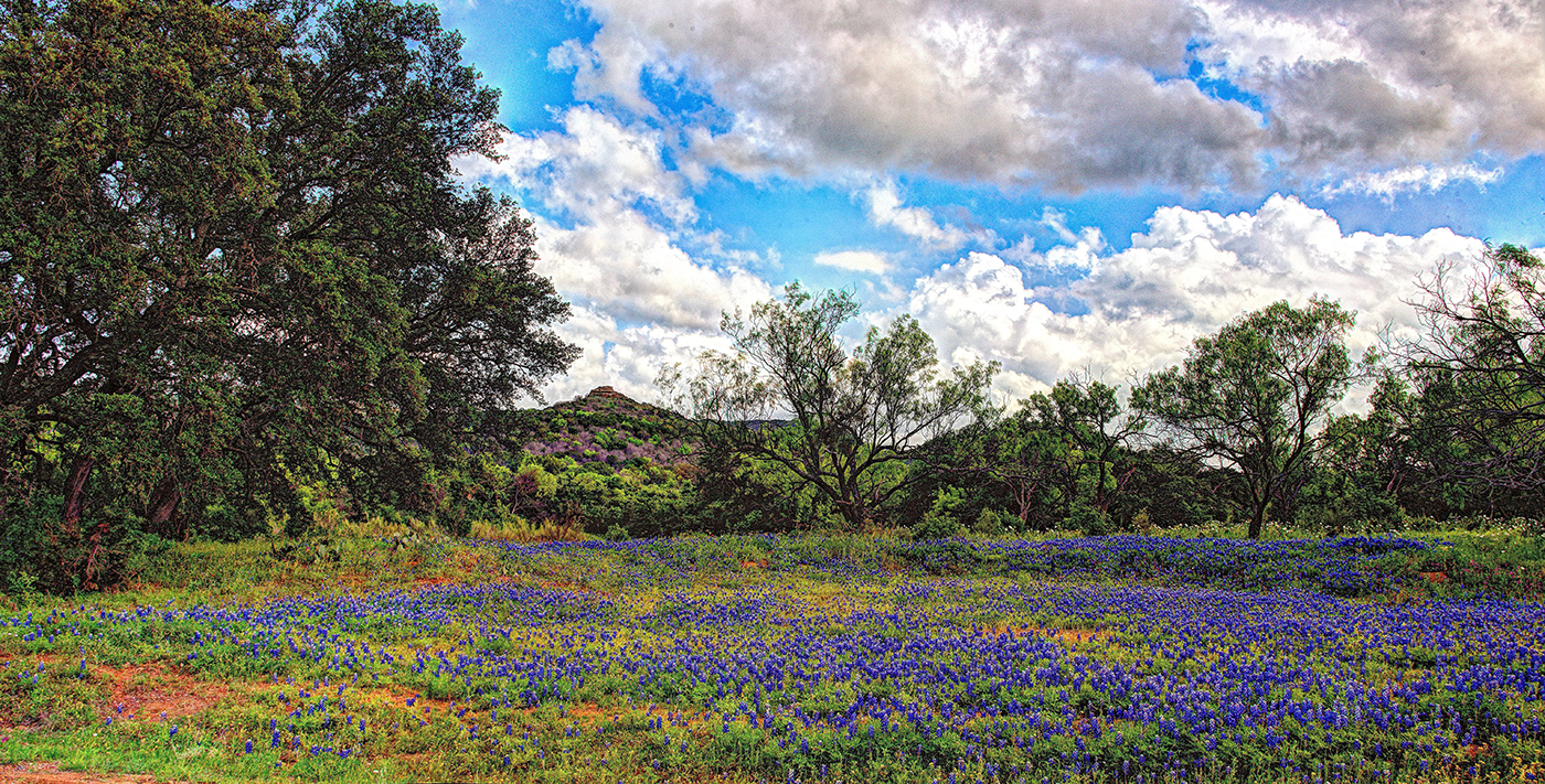 Weekend Drives: Texas Hill Country