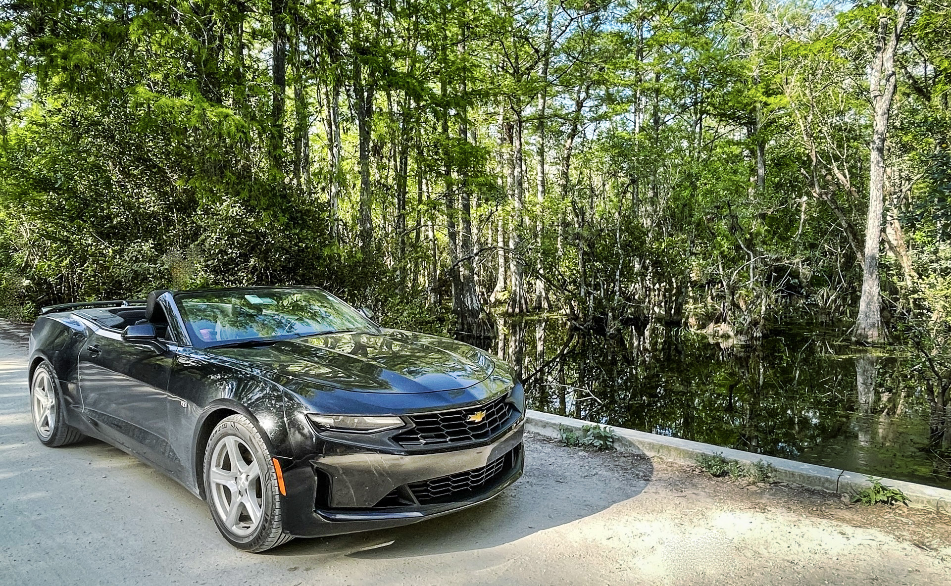 Road Trip: On the Tamiami Trail of Bob Dylan and Pablo Picasso in a Camaro Convertible